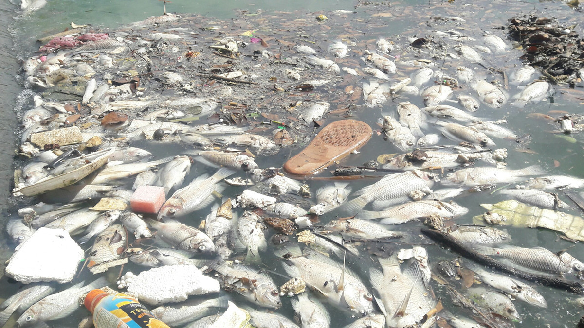 Ca chet noi trang ho o Da Nang sau con mua lon