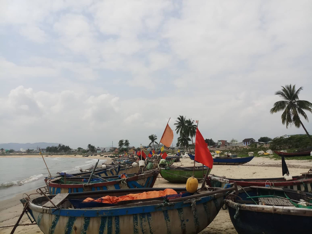 Đà Nẵng trưng cầu ý dân để điều chỉnh dự án ven biển Da Nang trung cau y dan de dieu chinh du an ven bien