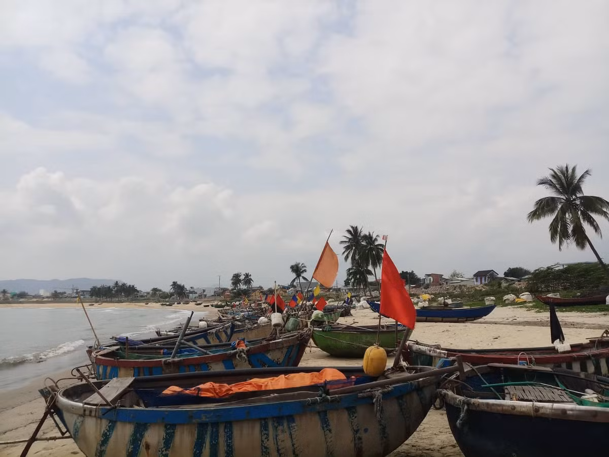 Đà Nẵng trưng cầu ý dân để điều chỉnh dự án ven biển Da Nang trung cau y dan de dieu chinh du an ven bien