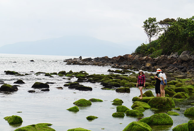 Đà Nẵng trưng cầu ý dân để điều chỉnh dự án ven biển - Hình 2 Da Nang trung cau y dan de dieu chinh du an ven bien-Hinh-2