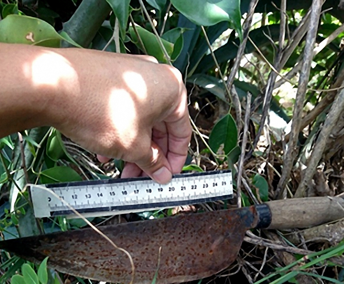 Mâu thuẫn mua ma túy, xông vào nhà đâm người thân của bạn Mau thuan mua ma tuy, xong vao nha dam nguoi than cua ban