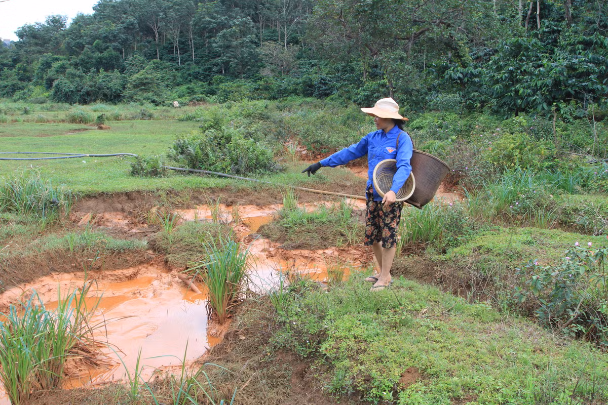 Chinh quyen noi gi ve nghi van nha may Alumin Nhan Co xa thai?