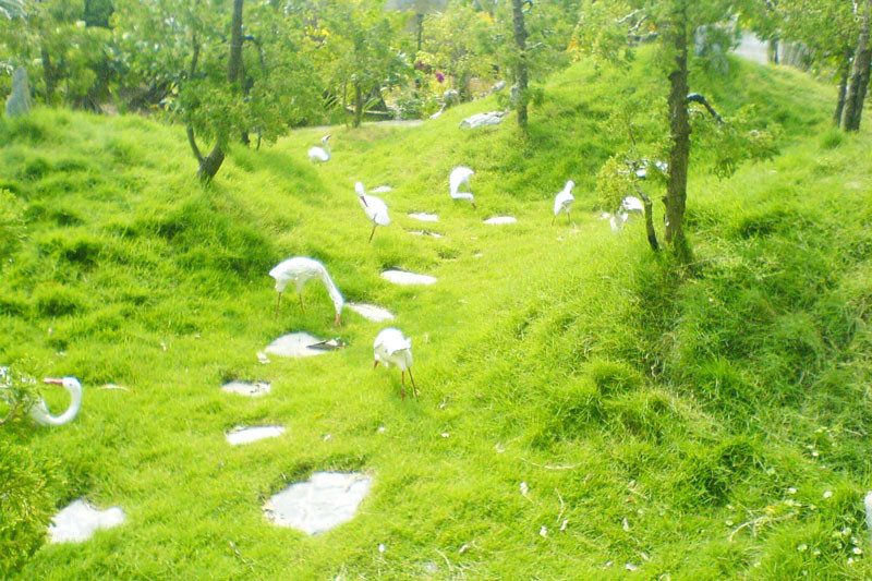 Vườn quốc gia Xuân Thủy hiện là vườn quốc gia có diện tích nhỏ nhất Việt Nam. Theo thông tin giới thiệu đơn vị, vườn có tổng diện tích 7.100 ha với vùng lõi có diện tích đất nổi khi triều kiệt 3.100ha, đất ngập nước 4.000ha.