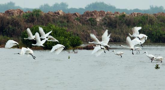 Hiện nay vườn quốc gia Xuân Thủy là một điểm du lịch khá hấp dẫn. Thời điểm thích hợp du lịch vườn quốc gia Xuân Thủy là từ tháng 10 – 11 đến tháng 3 – 4 năm sau, bởi vào lúc này lượng chim tăng đột biến tạo nên một không khí vô cùng náo nhiệt của hàng ngàn cá thể chim di cư tránh rét từ phương Bắc.