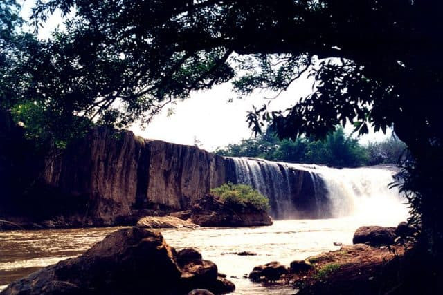 Thêm nữa, khu rừng còn có hơn 100 loài cây thuốc quý như địa liền, hà thủ ô, mã tiền, thiên niên kiện, sâm bố chính,… Ngoài ra, nơi đây còn có nhiều loại làm cảnh, cung cấp nguyên liệu đan lát, thủ công mỹ nghệ.