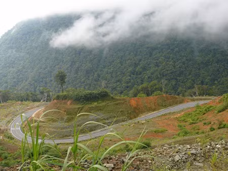 Cách tuyệt vời nhất để thưởng ngoạn cảnh đẹp của đèo là đi xe máy. Chỉ đi một đoạn ngắn là đã những con dốc cao bắt đầu xuất hiện, sương mù dày đặc.