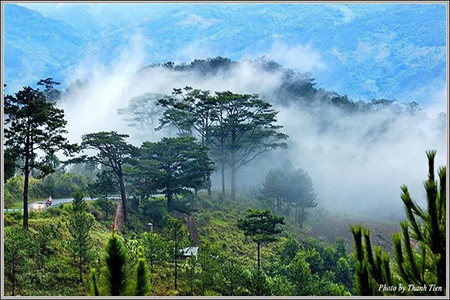 Đặc biệt là sương. Sương giăng mắc khắp nơi, chảy xuống cả thung lũng.