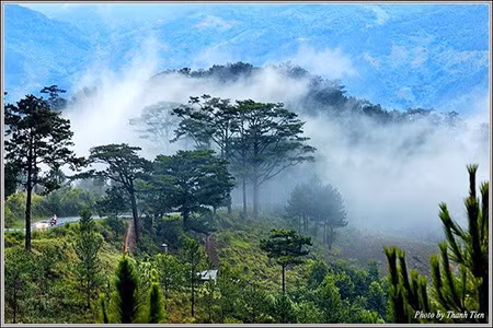 Đặc biệt là sương. Sương giăng mắc khắp nơi, chảy xuống cả thung lũng.