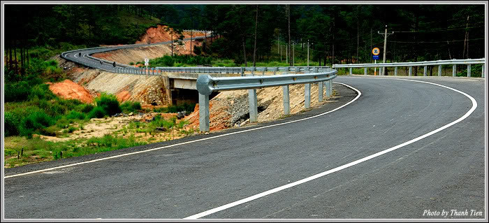 Có những đoạn cua gấp như khuỷu tay, dù chắn rào nhưng đòi hỏi bạn phải vững tay lái và tinh thần ổn định. 1.000 m, rồi 1.500 m, cứ thế xe như leo lên trời khi lưng chừng đèo là những đám mây vờn vũ. Lúc này sương đã tan và nắng tưng bừng khắp nơi len lỏi qua từng ngọn cây thông cao, len lỏi qua từng màn sương mờ ảo. Đám mây dưới núi nhìn đã rất xa, khiến du khách ngỡ mình đang ở trên trời nhìn xuống hạ giới.