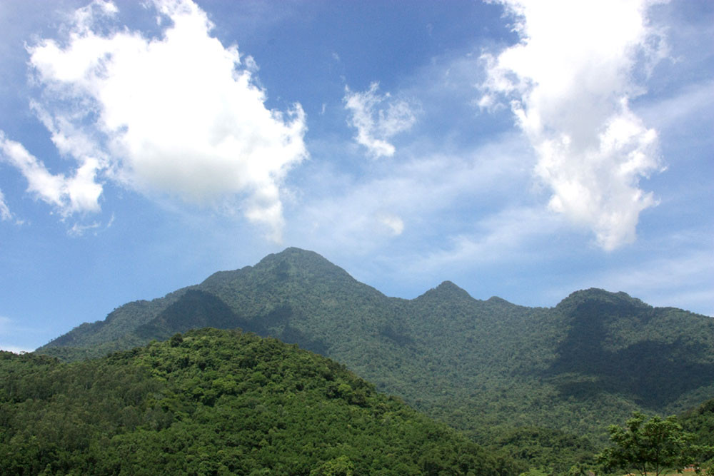 Núi Vua là đỉnh núi cao nhất tại Ba Vì với độ cao lên đến 1.296m. Trên đỉnh Vua còn có đền thờ Hồ Chí Minh, nơi để vinh danh và tỏ lòng biết ơn đến vị lãnh tụ tài ba của dân tộc ta.