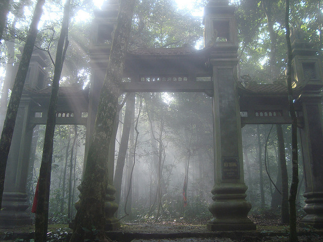 “Cú va chạm nhẹ nhưng thảng thốt đầy cảm xúc. Vừa kịp thấy cái lạnh phả vào mặt, tôi đã thấy nắng rực rỡ bừng lên. Sương bị nắng bào mòn, mỏng như khói bao phủ lên cây rừng khiến màu xanh của đại ngàn bỗng chốc bị đổi màu giống như một tấm ảnh cũ vì thời gian. Vài phút sau cảnh vật bật nét trở lại, xanh ngắt...”.