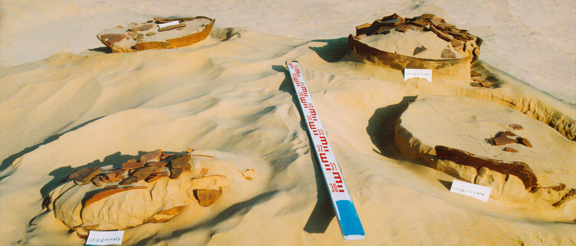 Công viên địa chất Lý Sơn - Sa Huỳnh còn gây kinh ngạc bởi có mật độ di sản văn hóa dày đặc đan xen của nhiều nền văn hóa khác nhau.