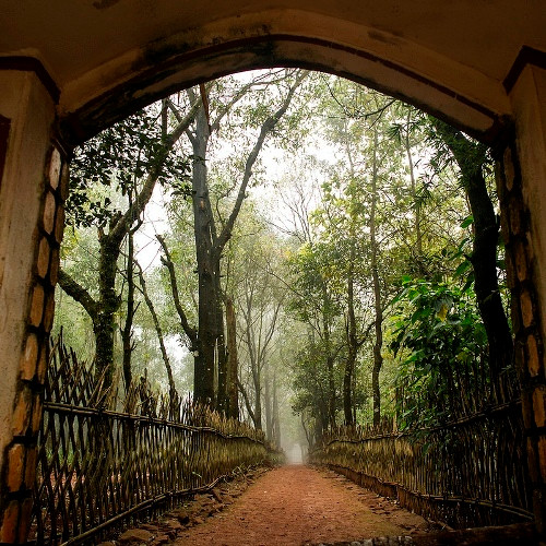 Trên đỉnh ngàn Nưa, ngoài Am Tiên - là nơi thờ Thánh Mẫu, thờ Phật… - còn có nhiều địa điểm kỳ bí như bàn cờ Tiên - tương truyền là nơi các tiên ông thấy cảnh đẹp thường lui tới thượng cờ, ngồi ngắm núi sông làng mạc, cho đến bây giờ dấu tích bàn cờ tiên vẫn đang còn.
