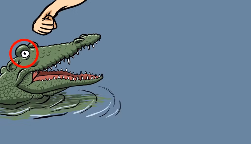 10 kỹ năng sinh tồn buộc phải nhớ khi bị thú dữ tấn công - Hình 4 10 ky nang sinh ton buoc phai nho khi bi thu du tan cong-Hinh-4