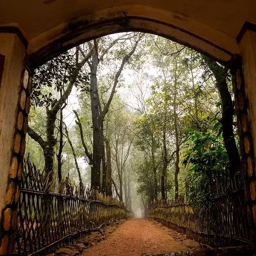 Bi an huyet dao tren dinh ngan Nua linh thieng noi tieng Viet Nam-Hinh-5