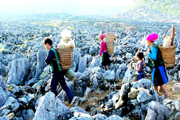 Ngoài ra, Cao nguyên đá Đồng Văn là địa bàn sinh sống của 17 dân tộc Mông, Giáy, Pu Péo, Lô Lô, Nùng, Hoa... với sắc màu trang phục sặc sỡ, bản sắc văn hóa truyền thống lâu đời, độc đáo, những sản vật địa phương...