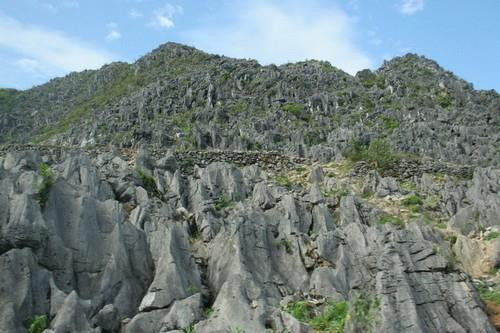 Đặc biệt, đây là nơi lưu giữ nhiều sự kiện địa chất quan trọng tầm cỡ khu vực và hành tinh, đặc biệt là 2 trong số 5 sự kiện lớn lịch sử sinh giới của Trái đất với sự hủy diệt của hàng loạt giống, loài, thậm chí cả họ cổ sinh vật.