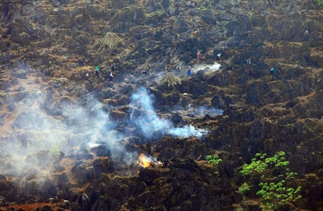 Thứ hai là biến cố sinh học Permi/Trias xảy ra sát trước ranh giới Permi/Trias cách ngày nay khoảng 251 triệu năm, là sự kiện lớn nhất trong 5 biến cố của sinh giới, làm tuyệt diệt khoảng 90% số giống và loài sinh vật biển.