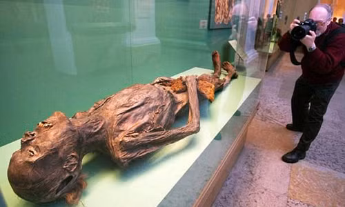 Những xác ướp hoàng tộc 2.200 tuổi trên được các nhà khảo cổ Liên Xô khai quật dưới thời nhà lãnh đạo Stalin. Những thi hài này được bảo quản tự nhiên trong lớp băng tuyết ở dãy núi Altai. Hai xác ướp này được bảo quản ở Bảo tàng Hermitage ở St Petersburg kể từ năm 1949.