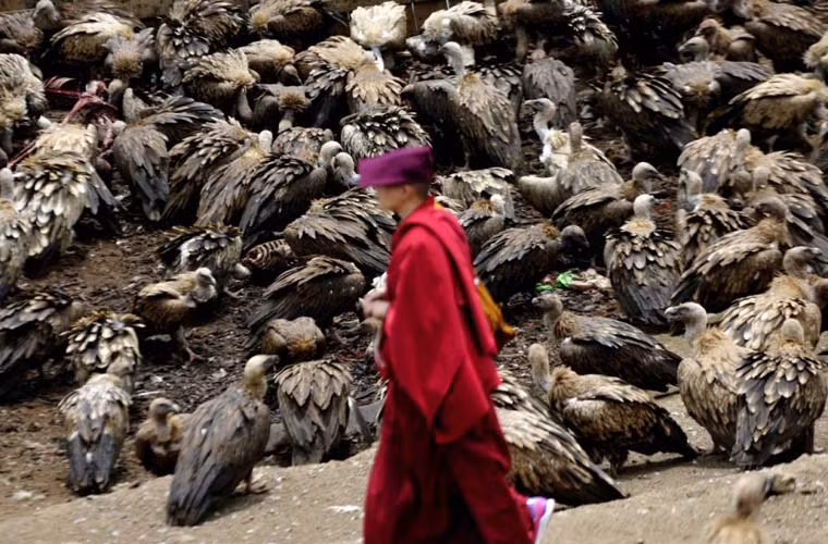 Thiên táng là tập tục chôn cất rùng rợn ở Tây Tạng. Người dân sẽ không chôn cất người chết trong lòng đất mà đưa thi hài người quá cố lên núi rồi làm mồi cho đàn kền kền đói. Họ làm như vậy vì quan niệm thi thể người chết được chim ăn sẽ nhanh chóng lên thiên đàng.