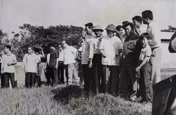 Cống hiến đặc biệt quan trọng của Tổng Bí thư Trường Chinh đã đi vào tiềm thức của nhân dân chính là vì ông là người đã đặt nền móng cho công cuộc Đổi mới. (Ảnh tư liệu)