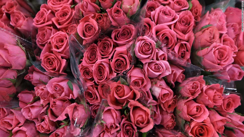 Khoảng 145 triệu tấm thiệp được tiêu thụ trong dịp Valentine.