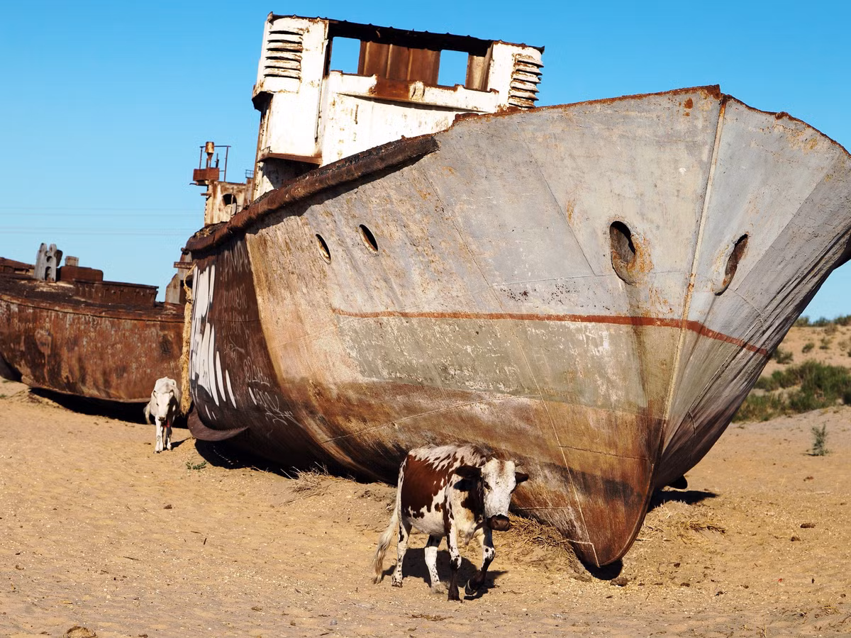 Uzbekistan có một vùng sa mạc rộng lớn được gọi là Moynaq, nổi tiếng với nghĩa địa tàu thuyền gồm hàng trăm con tàu chết nằm rải rác trên biển cát.
