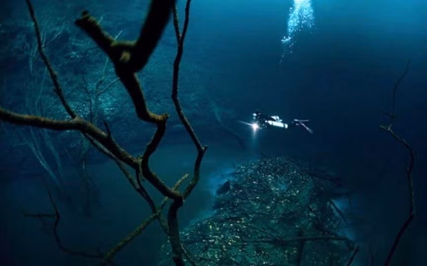 Cenote Angelita là một dòng sông ngầm dưới đáy biển Đen vô tình được các nhà khoa học thuộc ĐH Leeds (Anh) phát hiện. Nếu dòng sông này chảy trên đất liền thì nó sẽ là dòng sông lớn thứ 6 thế giới với lưu lượng nước khổng lồ chảy qua.