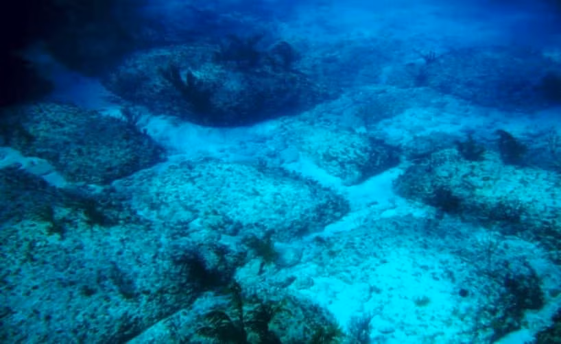 Ngày 2/9/1968, Bimini Road được J. Manson Valentine, Jacques Mayol và Robert Angove phát hiện ở ngoài khơi bờ biển Bahamas. Cấu trúc này do con người tạo ra có niên đại từ 12.000 - 19.000 năm tuổi.