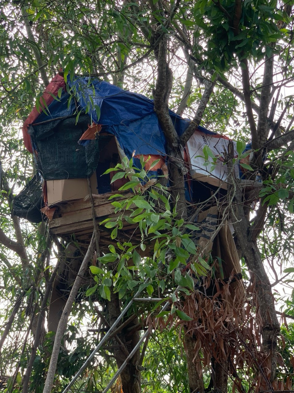 Nênh chọn địa hình đồi núi hiểm trở để giao dịch mua bán ma túy, phân công đàn em cảnh giới chặt chẽ, nhiều vòng, luôn luôn cảnh giác đối với người ngoài khu vực xâm nhập vào lán trại. Hắn cũng luôn mang theo súng quân dụng, lựu đạn và súng tự chế bên người, sẵn sàng chống trả quyết liệt khi bị phát hiện. Chính vì thế, nhiều lần Công an huyện đã xây dựng kế hoạch tổ chức vây bắt nhưng phải hoãn lại do yêu cầu đảm bảo an toàn cho nhân dân cũng như cán bộ, chiến sĩ. (Ảnh minh họa, nguồn internet)