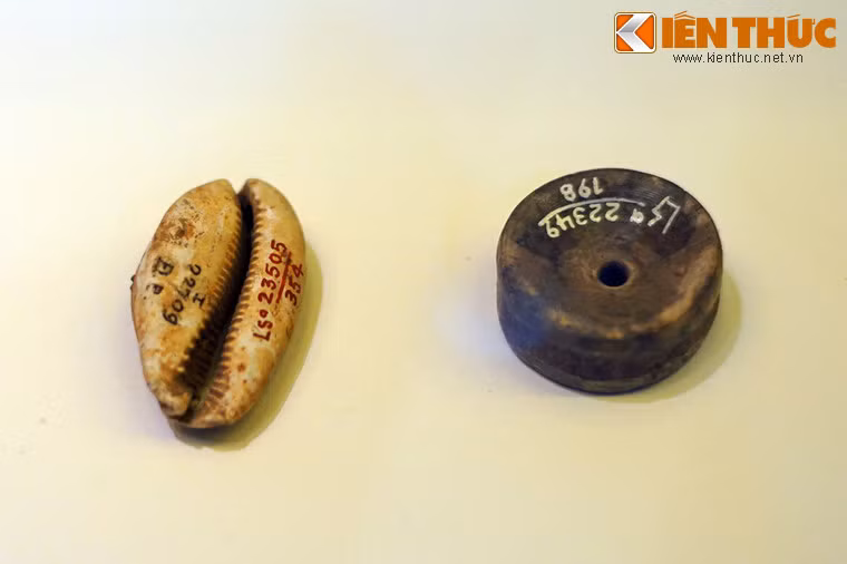 Các loại vỏ ốc được sử dụng làm đồ trang sức cũng là nguồn thực phẩm quan trọng thời tiền sử.