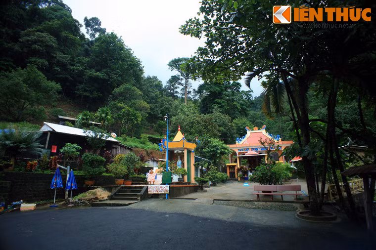 Không lâu sau đó có một đoàn xe du lịch lên Đà Lạt chạy tới khúc cua này cũng bị lật xe và lao xuống vực. Trong đoàn có bốn người sống sót gồm một chàng thanh niên và ba cô gái. Dù rất yếu sau vụ tai nạn nhưng cả bốn người đều cố động viên lẫn nhau để cùng leo lên tới mặt đường.