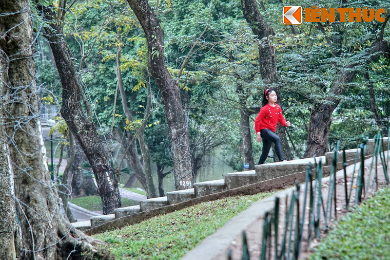 "Kho báu" này tập trung trên núi Nùng, ngọn núi nhân tạo được đắp vào thời thuộc địa, cùng thời gian thành lập Vườn bách thảo.