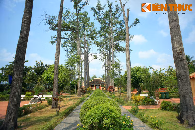 Sau cổng là thần đạo đi thẳng vào điện Đại Thành. Hai bên là hai hàng sao cao vút có cùng niên đại với ngôi Thánh Miếu.