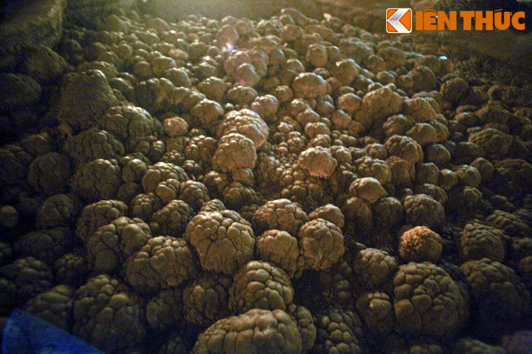 Hàng nghìn "quả na" bằng đá hàng trăm nghìn năm tuổi nằm lăn lóc trên nền hang.