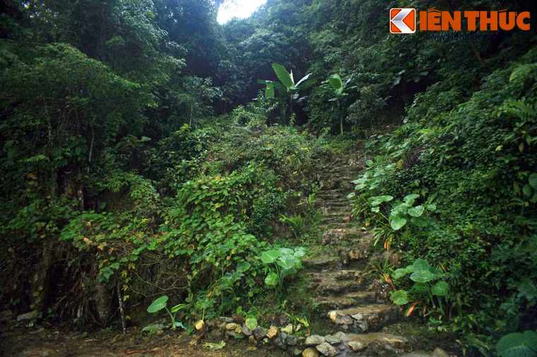 Để lên được các hang động, du khách phải leo qua những đoạn đường núi gập ghềnh, khúc khuỷu xuyên qua các tán rừng rậm.