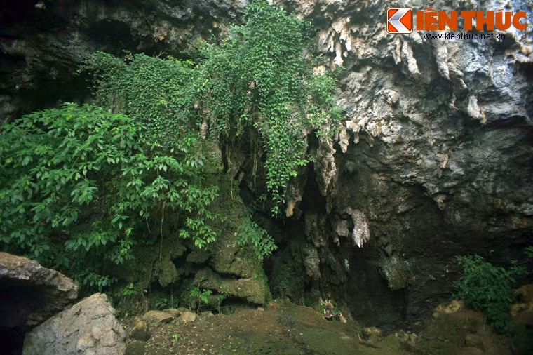 Quần thể hang động này bao gồm 3 hang động lớn là: Thiên Môn, Thiên Đường và Thủy Tinh.