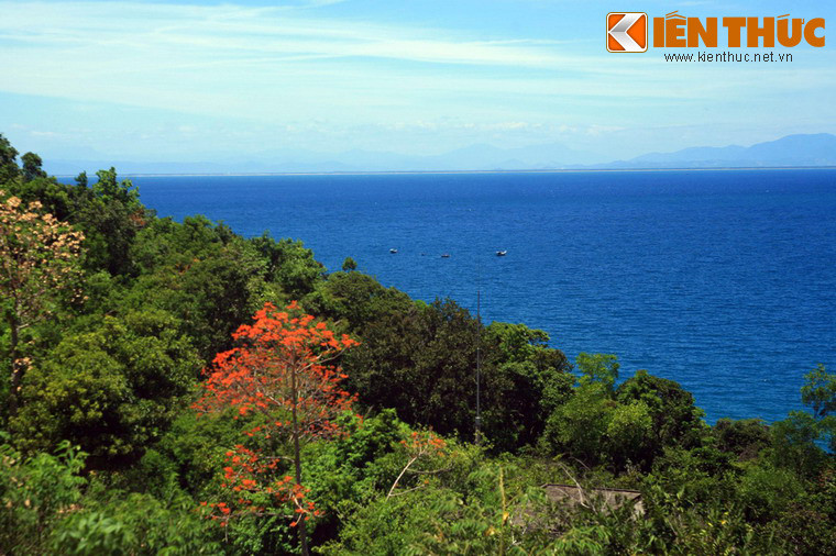 Năm 2003, Khu Bảo tồn thiên nhiên Cù Lao Chàm được thành lập để giữ gìn sinh vật hoang dã trên đảo. Đến năm 2009, Cù Lao Chàm đã được UNESCO công nhận là Khu dự trữ sinh quyển thế giới.