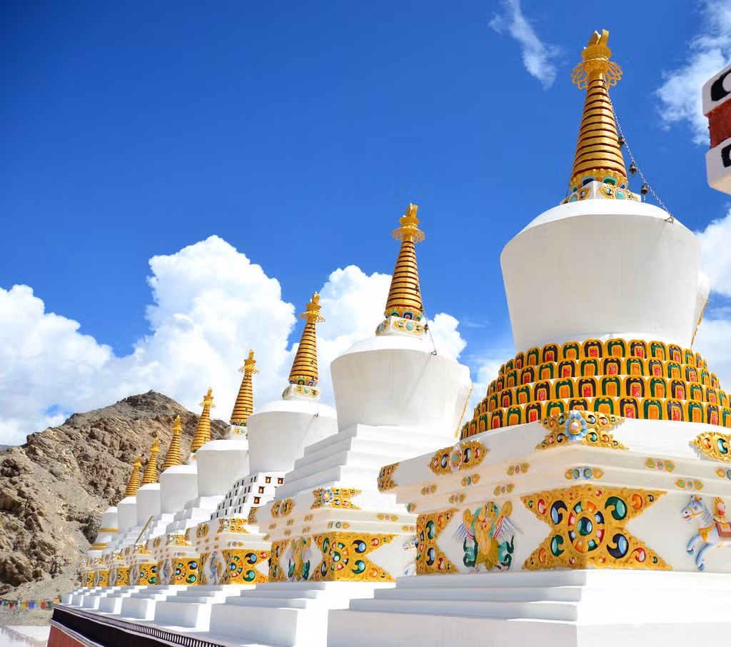 Lễ hội hàng năm của tu viện được gọi là nghi lễ Gustor, được tổ chức từ ngày 17-19 tháng 9 của lịch Tây Tạng. Tại lễ hội, các điệu múa thiêng liêng mang đậm văn hóa Tây Tạng sẽ được biểu diễn trước sự chứng kiến của công chúng.