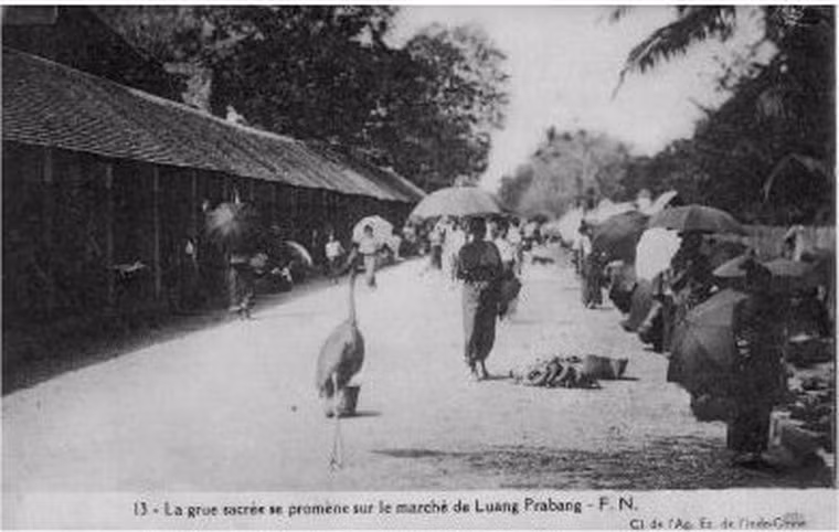 Khu chợ ở Luang Prabang.