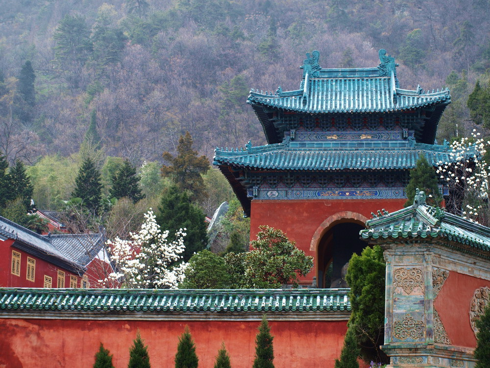 Đời Hán có Mã Minh Sinh, Âm Trường Sinh hai thầy trò cùng đến tu đạo ở núi Võ Đang, từ đó trở đi nhiều bậc danh sĩ đã đến tu đạo tại đây.