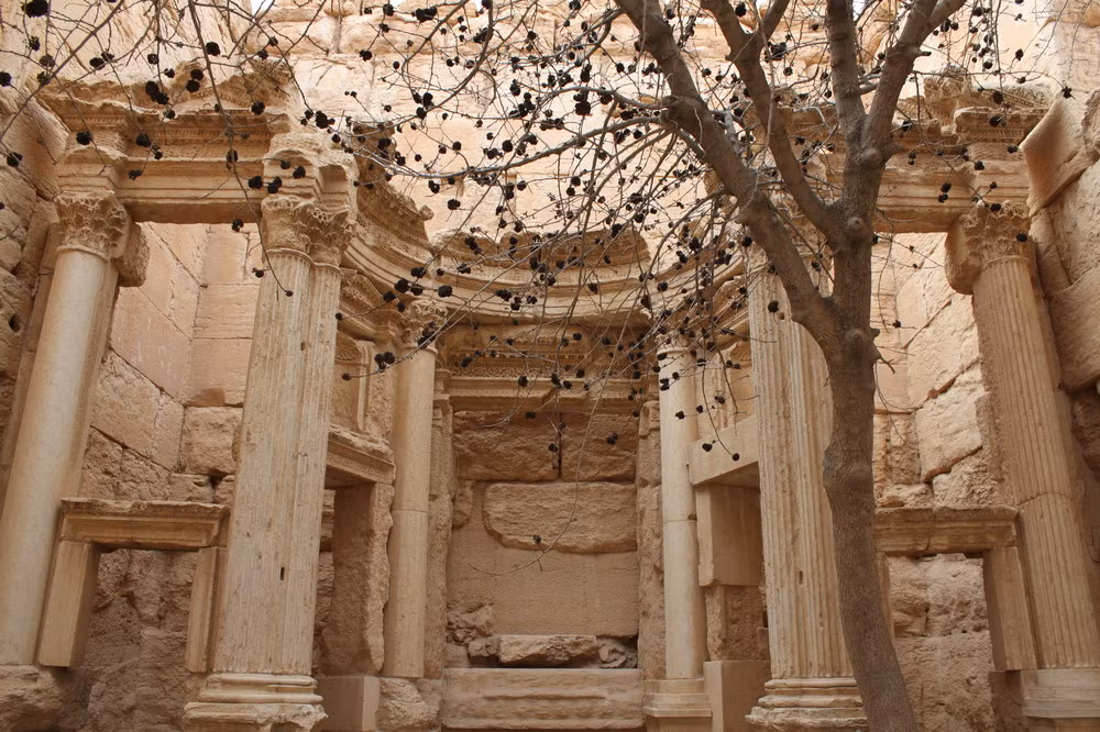 Các thành phố chết được chia thành 3 khu vực, gồm nhóm phía Bắc của Núi Simeon và núi Kurd, nhóm ở núi Harim và nhóm tại dãy núi Zawiya, bao phủ một vùng đất có chiều rộng 20–40 km và dài khoảng 140 km.