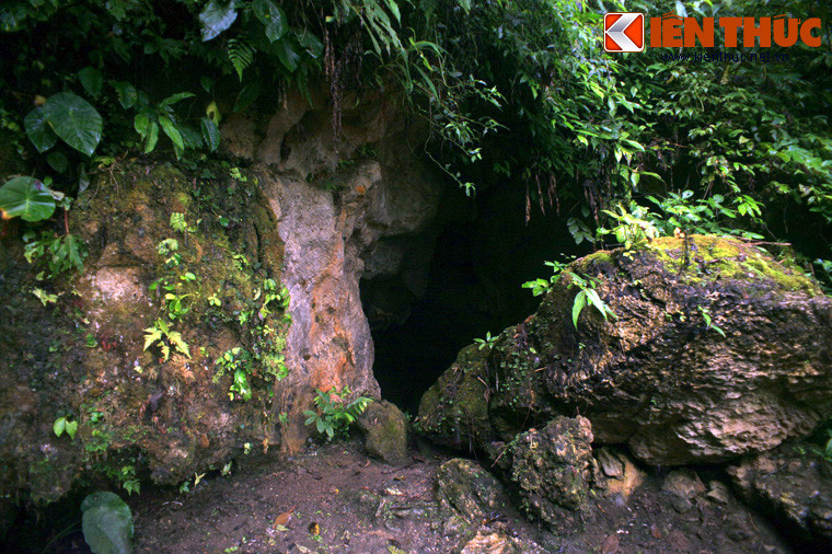 Theo khảo sát, quần thể hang động Pu Sam Cáp bao gồm 3 hang động lớn là: Thiên Môn, Thiên Đường và Thủy Tinh. Để lên được các hang động, du khách phải leo qua những đoạn đường núi gập ghềnh, khúc khuỷu xuyên qua các tán rừng rậm.