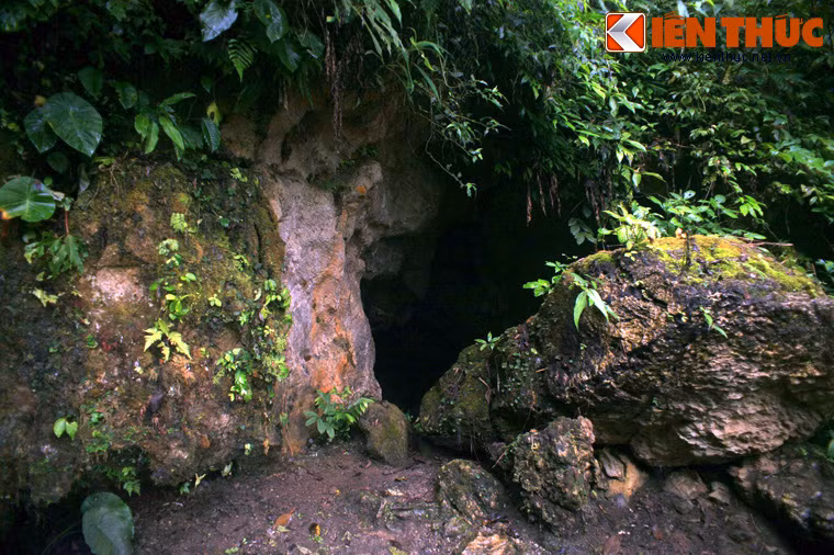 Theo khảo sát, quần thể hang động Pu Sam Cáp bao gồm 3 hang động lớn là: Thiên Môn, Thiên Đường và Thủy Tinh. Để lên được các hang động, du khách phải leo qua những đoạn đường núi gập ghềnh, khúc khuỷu xuyên qua các tán rừng rậm.