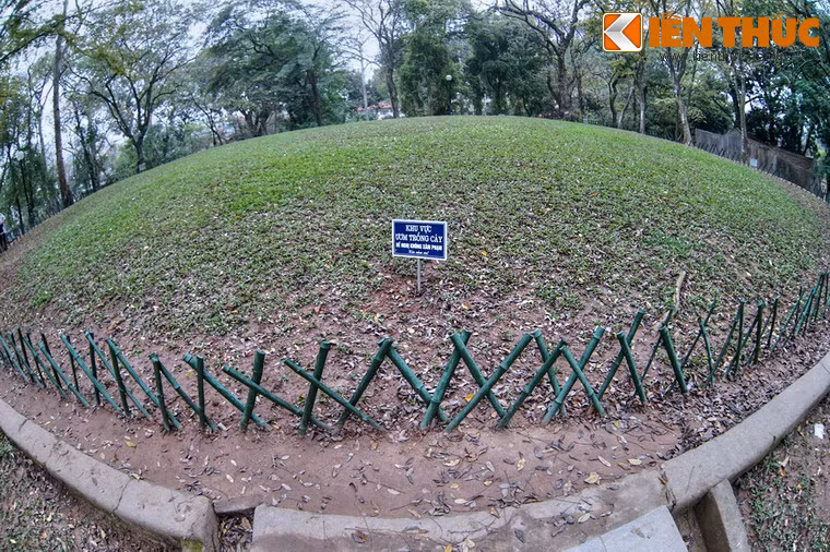 Đỉnh núi là một bãi trống, hiện được sử dụng làm nơi ươm cây.