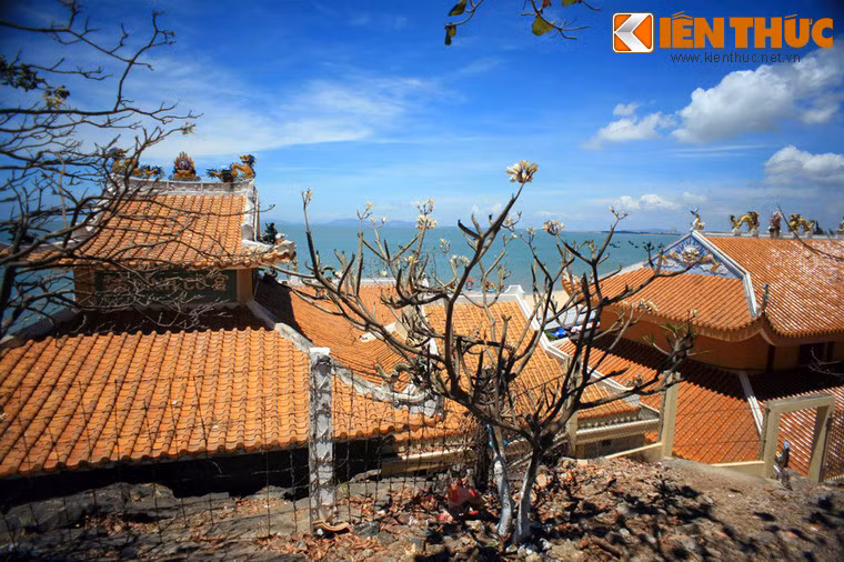 Theo các nhà nghiên cứu văn hóa, Dinh Cô Vũng Tàu là một di tích in đậm bản sắc dân tộc Việt mà chủ thể trực tiếp là ngư dân ở địa phương.