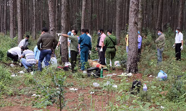 Qua khám nghiệm tử thi, phát hiện bên ngoài không có dấu hiện tổn thương do tác động của ngoại lực; phẫu thuật tử thi, bên trong dạ dày có thức ăn chưa nhuyễn, nhiều mảnh lá cây màu xanh và nhiều dịch màu vàng, xanh. Kết quả khám nghiệm tử thi kết luận, nguyên nhân chết của nạn nhân có nhiều dấu hiệu bị ngộ độc. Qua giám định, Viện Pháp y Quốc gia kết luận trong máu và phủ tạng có thành phần Alcaloid (là thành phần độc tố có trong lá ngón). (Ảnh minh họa, nguồn internet) 