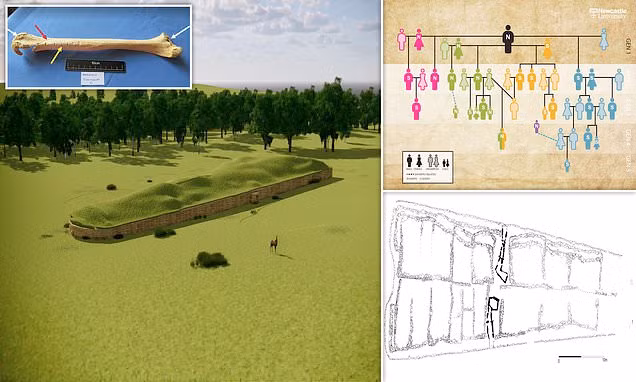 Thêm nữa, các chuyên gia có thể thiết lập gia phả của gia đình trên thông qua xét nghiệm ADN của từng cá nhân.
