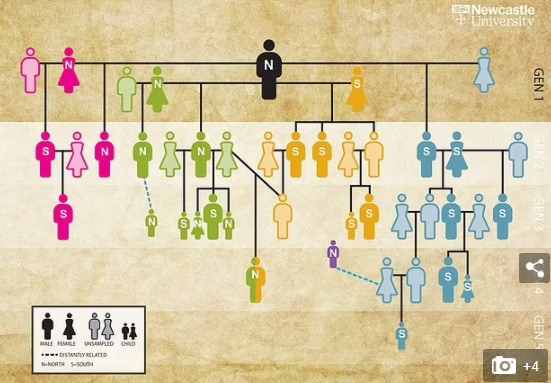 Khi kiểm tra ADN của 35 bộ hài cốt trên, các chuyên gia biết được đa số những người này có quan hệ huyết thống. Trong đó, 27 người là họ hàng ruột thịt từ 5 thế hệ liên tiếp trong một đại gia đình.