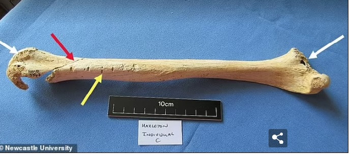 Gia đình này sống trong khoảng thời gian từ năm 3700 trước Công nguyên - 3600 trước Công nguyên.